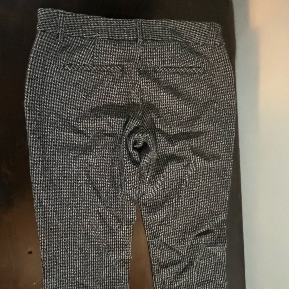 Womens Express Columnist Pants